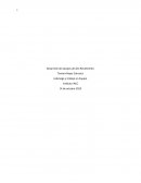 Liderazgo Empresa Lácteos S.A