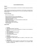 Plan de Marketing Digital