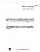 Ejemplo presupuesto de produccion