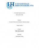 Proyecto: Taller lúdico sensorial