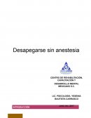 RESUMEN DEL LIBRO DESAPEGARSE SIN ANESTECIA