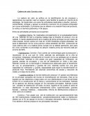 Viña Concha y toro - Cadena de valor