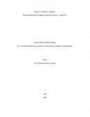 RESEÑA ALFABETIZACIÓN DIGITAL UN MUNDO DE BENEFICIOS POSITIVOS Y NEGATIVOS