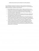 INFORME SOCIALIZACION FOLLETO INFORMATIVO REGISTRO MERCANTIL