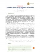 PRÁCTICA 5 “Ensayos de coloración a la llama para los elementos químicos”