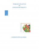 Trabajo evaluativo de ciencias naturales