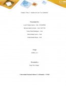 Unidad 2: Paso 2 - Análisis de Caso "Los Cámbulos"