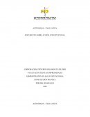 Actividad – evaluativa Documento sobre Acción Constitucional