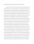 OPORTUNIDADES Y RIESGOS DE LOS NEGOCIOS DE INTERNET