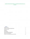 INSTITUCIONES QUE RECTORAN LA GESTIÓN DE PROYECTOS EN EL MUNDO