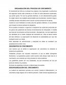 ORGANIZACION DEL PROCESO DE CRECIMIENTO