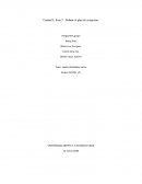 Unidad 1: Fase 2 - Definir el plan de actuación.faramacognosia