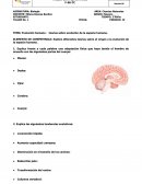 Evolución humana - teorías sobre evolución de la especie humana