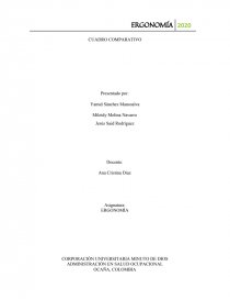 ADMINISTRACIÓN EN SALUD OCUPACIONAL. Página 1