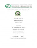 Practica de color de suelo