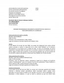 INFORME PSICODINÁMICO DOCUMENTAL DESCRIPTIVO DEL CASO DE LA “DESCUARTIZADORA DE LA BARRIADA”