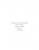 Organizaciones y normas que regulan la Contabilidad