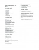 Estructura básica del PUC