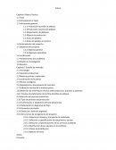 Gestion de proyectos. Creación de empresa “Ecobolsas”