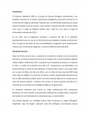 Caso clinico diabetes