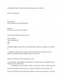 INFORME DE PROYECTO DE MANDARINA MARCA EL CEREZO