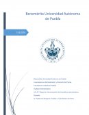 U4_A7_Etapa de instrumentación de la auditoria administrativa