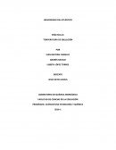 PRÁCTICA #1 TEMPERATURA DE EBULLICIÓN