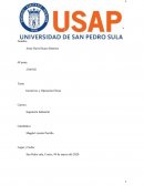 Incentivos y Operacion Eficaz (RRHH)