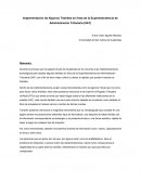 Implementacion de tramites en linea de la SAT