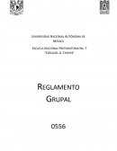 REGLAMENTO GRUPAL