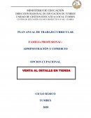 PLAN ANUAL DE TRABAJO CURRICULAR