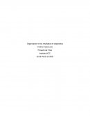 Organización de los resultados de diagnostico