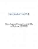 Caso Practico Seldon Textil