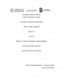 Subtema: 4.2 Tipos de estrategias y mapas estratégicos