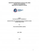 ANÁLISIS CRITICO DEL PROGRAMA NACIONAL DE EMPLEO JUVENIL JÓVENES PRODUCTIVOS