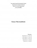Ensayo macroambiente