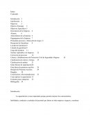 Proyecto empresa Agua Mar y Sol S.A de C.V