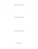 Impuesto regimen simple