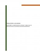 OPINION SOBRE EL CAMBIO GRACIAS AL INTERNET Y CÓMO ES QUE SE CONVIRTIÓ EN UNO DE LOS MEDIOS CON MAYOR IMPORTANCIA