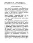 ANALISIS EMPRESA TEXTEC S.A