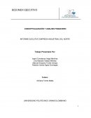 CONCEPTUALIZACIÓN Y ANALISIS FINANCIERO INFORME EJECUTIVO EMPRESA INDUSTRIAL DEL NORTE