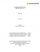 ANÁLISIS MATRIZ PEYEA MONTEC D&V S.A.S