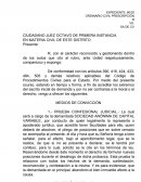 Ofrecer pruebas ordinario civil