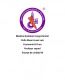 Ensayo economia. Teoría de la producción