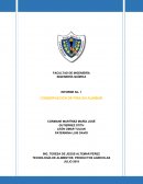 TECNOLOGÍA DE ALIMENTOS: PRODUCTOS AGRICOLAS. Piña almibar