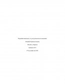 Propiedad intelectual y Ley de protección al consumidor