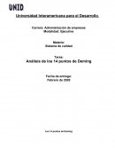 Analisis de 14 puntos de Deming