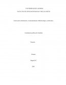 Constitucion politica de Colombia