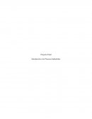 Proyecto Final Introducción a los Procesos Industriales