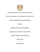 Actividad unidad 2 gestion empresarial en enfermeria